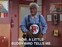 all that nicksplat GIF
