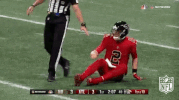 atlanta falcons football GIF by NFL