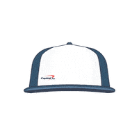 March Madness Souvenir Sticker by Capital One