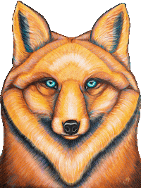 ekaterinaskyart art fox artist queen GIF