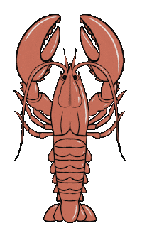 Summer Beach Sticker