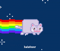 Choi San Cat GIF
