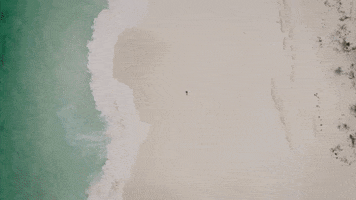 Beach Running GIF by nettwerkmusic
