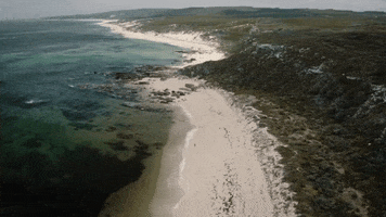Beach Running GIF by nettwerkmusic