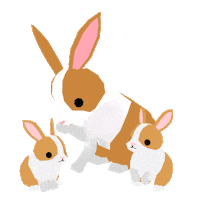 Rabbit うさぎ Sticker