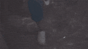 Musicvideo GIF by Lowen
