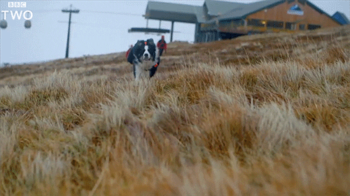 bbc two running GIF by BBC