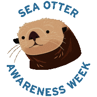 Sea Otter Ocean Sticker by Monterey Bay Aquarium