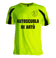 New Post Scuola Guida Sticker by autoscuola re artù