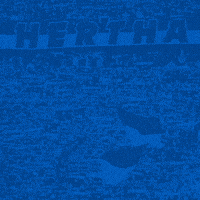 Football Soccer GIF by Hertha BSC