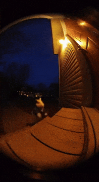 White Rabbit Ai GIF