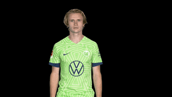 Bundesliga Applause GIF by VfL Wolfsburg