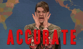 Snl Yes GIF