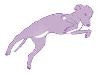 Dog Sticker