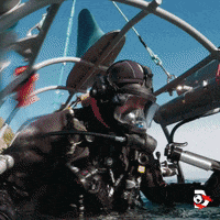 Technology Swim GIF by Shark Week