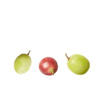Food Grapes Sticker by IMA - Influencer Marketing Agency