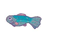 Fish Ryba Sticker by Szabi