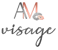 visageru visage ami amina amiamina Sticker