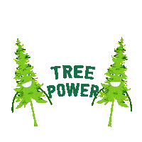 Go Green Christmas Tree Sticker by NIKIN