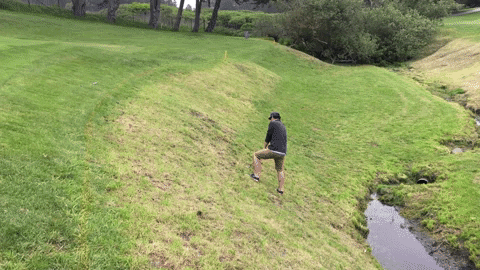 jonmorley giphyupload GIF