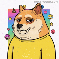 Shiba Inu Smiling GIF by Doge Pound
