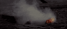 GIF by Ghostbusters 