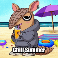 Summer Beach GIF by Chillo Dillo