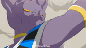 Battle Of Gods Lord Beerus GIF