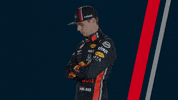 redbullracing car racing race 2019 GIF