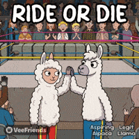 High Five GIF by VeeFriends