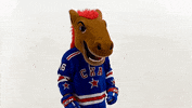 Mascot Watching You GIF by SKA Ice Hockey Club