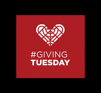 Euetu GIF by Giving Tuesday