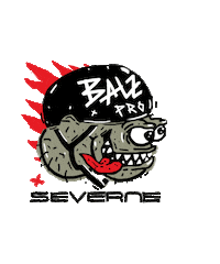 Radiculo Sticker by Severne Windsurfing