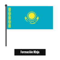 Kazakhstan Flag Sticker by Formación Ninja