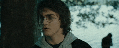 harry potter what GIF