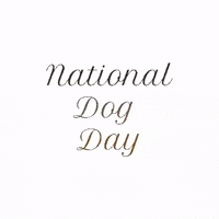 French Bulldog Dogs GIF by Dr. Donna Thomas Rodgers