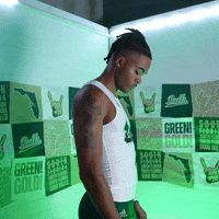 South Florida Horns Up GIF by USF Athletics