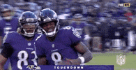 2018 Nfl Football GIF by NFL