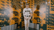 Baseball Bison GIF by NDSU Athletics