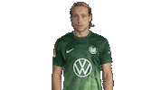 Football Love Sticker by VfL Wolfsburg