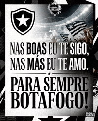 Botafogo De Futebol E Regatas Bfr GIF