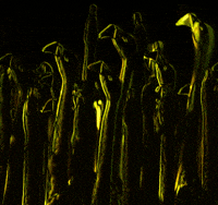 pink flamingo animation GIF by weinventyou