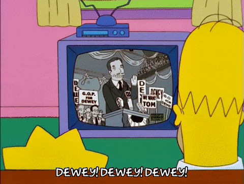 homer simpson GIF