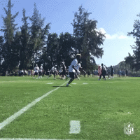 GIF by NFL