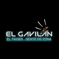 Elgavilan Gdz Gentedezona Eltaiger GIF by Gente De Zona