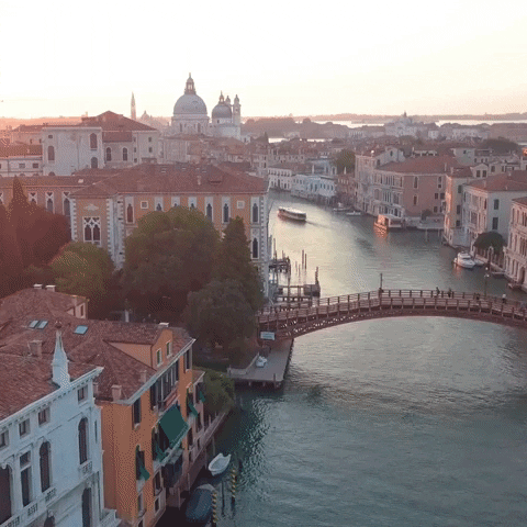 BaeBees giphyupload trip italy drone GIF