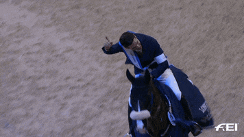 FEI_Global celebration celebrate point winner GIF
