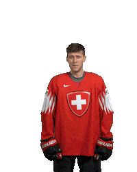 Ice Hockey Goal Sticker by International Ice Hockey Federation