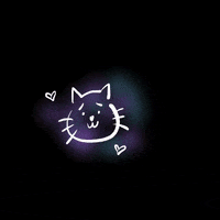 dog01242 cat animal coco GIF