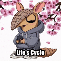Wisdom Cycle GIF by Chillo Dillo